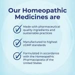 Boiron Apis Mellifica 30C Homeopathic Medince for Relief from Pain, Itching, and Swelling of Bug Bites or Stings - 3 Count (240 Pellets)