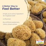 Boiron Spongia Tosta 6C Homeopathic Medicine for Dry Cough, Croupy, Barking, or Hoarseness - 3 Count (240 Pellets)