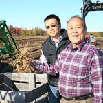 Hsu's Ginseng – Half Short Wisconsin Roots for Tea, Soup & Gifts – Fresh, Premium, Non-GMO, No Additives- Medium (4 oz)