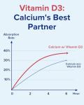Terranics Calcium 1200 mg with Vitamin D3, High Absorption Calcium Supplement for Women and Men, Supports Bone, Teeth & Immune Health, Easy-to-Swallow Coated Tablets, 90 Count
