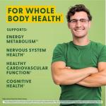 MegaFood Vegan Vitamin B12 with Vitamin B6, B12 and Folic Acid Supplements for Women and Men Supports Cellular Energy Metabolism, Nervous System Health & Cardiovascular Function - 30 Mini Tablets