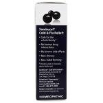 Sambucol Cold and Flu Relief Tablets - Homeopathic Cold Medicine, Cold Remedy for Adults, Black Elderberry for Colds, Zinc Cold Remedy - 60 Count