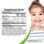 NaturesPlus Animal Parade Vitamin C Children's Chewable - Natural Orange Juice Flavor - 90 Animal-Shaped Tablets, Pack of 2 - Vegan, Vegetarian, Gluten Free - 90 Total Servings