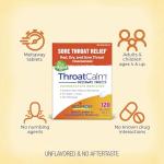 Boiron ThroatCalm Tablets for Relief of Sore Throat, Scratchy, Red or Dry Throat, and Hoarseness - 120 Count