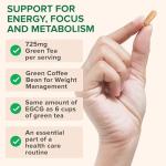 Green Tea Extract with Antioxidants & Immune Support