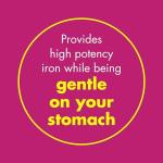 Slow Release Iron Supplement - 60 Capsules