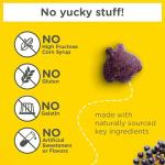 Zarbee’s Kids Elderberry Immune Support Supplement Gummies, Vitamins A C D3 E & Zinc, Elderberry Extract, Gluten & Gelatin Free, No Artificial Flavors, Natural Berry Flavor, Ages 2+, 42 Ct