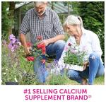 Caltrate Soft Chews Calcium & Vitamin D - 60 Count