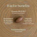 New Chapter Fermented B Complex with Vitamin B12