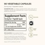 Solgar Gentle Iron 25 mg - 90 Veggie Capsules