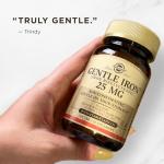 Solgar Gentle Iron 25 mg - 90 Veggie Capsules