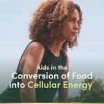 Nature's Bounty B12 5000 Mcg Liquid Drops