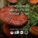 New Chapter Fermented Vitamin D3 2,000 IU, Organic, ONE Daily for Immune, Heart & Bone Support + Whole-Food Turmeric, Adaptogenic Reishi Mushroom, 100% Vegetarian, Gluten Free, 60 Count