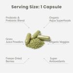 Paradise Herbs Earth's Blend Once Daily Multivitamin for Men, No Iron, 48 Organic Superfoods, Probiotics, Antioxidants, Vitamins A, B12, C, D, K2,120 Count