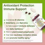 B Complex Gummies + Superfruits + Supergreens – Energy, Vitality & Immune Support – with B2, B3, B5, B6, B9 Folate & High Potency B12 – Rich in Antioxidants – Vegan, Gluten Free, Non-GMO – 60 Gummies