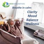 B Complex Gummies + Superfruits + Supergreens – Energy, Vitality & Immune Support – with B2, B3, B5, B6, B9 Folate & High Potency B12 – Rich in Antioxidants – Vegan, Gluten Free, Non-GMO – 60 Gummies