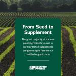 Standard Process Calcium Lactate Bone & Immune Health Dietary Support - Vegan, Gluten-Free, Non-Dairy, Non-Soy & Non-Grain - Bone, Joint & Health Support - 360 Tablets