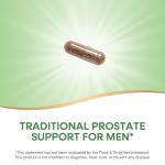 Saw Palmetto Berry Capsules - 180 ct