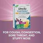 Nature's Way Umcka Cold Relief Hot Drink, Homeopathic, Clinically Proven Pelargonium Sidoides 1X, for Cough, Congestion, Sore Throat, Stuffy Nose, Day & Night Formula, 12 Packets (Packaging May Vary)