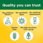 Extra Strength Cherry Berry Vitamin B-12 Gummies