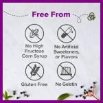 Zarbee’s Elderberry Gummies Daily Immune Support Supplement with Vitamins A C D E & Zinc, Black Elderberry Extract, Natural Berry Flavor, Vegetarian, Gelatin-Free, 60 Count