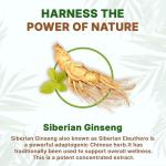 Go Nutra Siberian Ginseng - Eleuthero Root Powder | 4:1 Extract 4X Times Stronger | Supports Energy & Stamina | Natural & Adaptogenic | Eleutherococcus Senticosus | Non-GMO | 1lb (16 Ounce)