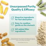 ANDREW LESSMAN Ginkgo 120 Plus Ginseng 200mg - 60 Capsules - Standardized Extract Blend to Support Brain, Memory and Cognitive Function. Adaptogen, Combats Stress and Fatigue. No Additives