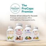 ANDREW LESSMAN Ginkgo 120 Plus Ginseng 200mg - 60 Capsules - Standardized Extract Blend to Support Brain, Memory and Cognitive Function. Adaptogen, Combats Stress and Fatigue. No Additives