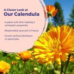 Boiron Calendula Cream for Cuts and Burns 2.5 oz