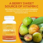 Paleovalley Essential C Complex - Vitamin C Supplement for Immune Support - 1 Pack, 450mg - Organic Superfoods Unripe Acerola Cherry, Camu Camu, Amla Berry - No Synthetic Ascorbic Acid - USA Made