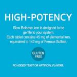 21st Century Slow Release Iron Tablets, 60 Count (Pack of 3)