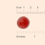 Amazon Elements - B-Complex, Supports Immune and Normal Energy Metabolism, 70 Gummies, 70-Day Supply, Vegan, Adult, Non-GMO (Previously Revly)