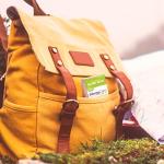 Boiron AllergyCalm On the Go for Relief from Allergy and Hay Fever Symptoms of Sneezing, Runny Nose, and Itchy Eyes or Throat - 2 Count ( 160 Pellets)