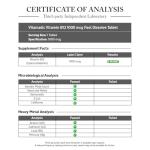 Vitamatic Vitamin B12 1000 mcg Fast Dissolve – 365 Tablets – Natural Berry Flavor – Supports Energy Metabolism & Nervous System Health