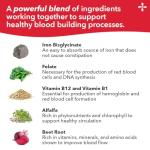 LifeSeasons Blood Nourish-R - Iron Deficiency Supplement - Supports Anemia, Fatigue & Dizziness - No Constipation - Blood Building - Iron, Beet Root, Alfalfa, Raspberry & Vitamin B-12-60 Capsules