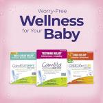 Boiron Camilia Tummy for Colic, Painful Gas, Bloating, & Fussiness- Sterile and Non-Drowsy Liquid Doses - 30 Count (Packaging May Vary)