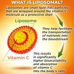 Liposomal Vitamin C Capsules - 1500mg - Made with Organic Acerola Cherries & Camu Camu, High Potency Vitamin C Liposomal - Immune Support Supplement, Enhanced Absorption & Bioavailability - 180 Count