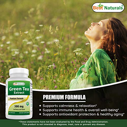 Green Tea Extract - 500mg, 250 Capsules