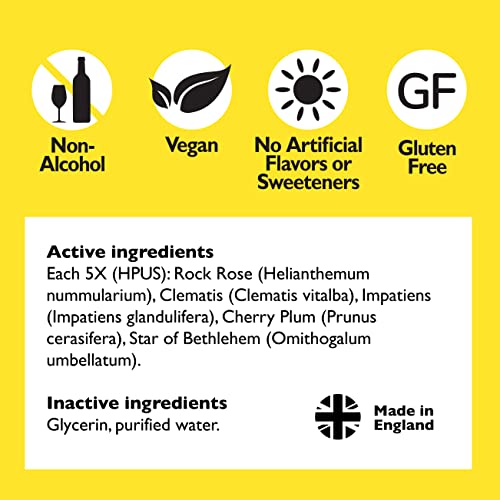 Bach Rescue Remedy Dropper for Natural Stress Relief