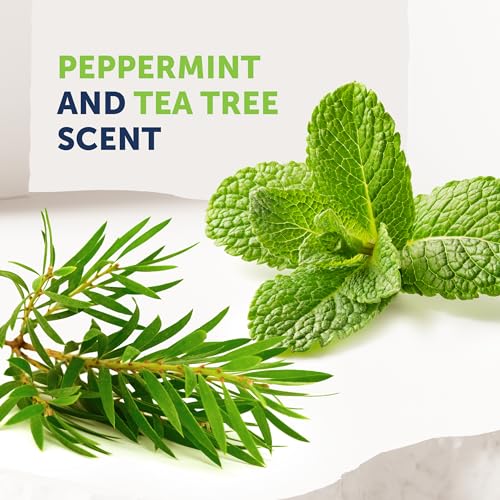 Tea Tree Oil Body Wash for Odor & Irritations