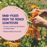 Boiron Calendula Cream for Cuts and Burns 2.5 oz