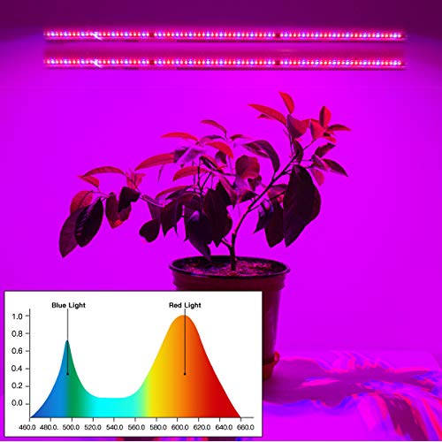 GooingTop LED Grow Light, Plant Lamp for Indoor Plants Growing, White Strip Low Light for Bonsai Succulents Mini Small Plants,Auto Timer 4/8/12Hrs (with USB Plug)