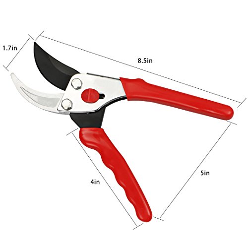 FLORA GUARD - 8.5Inch Traditional Bypass Pruning Shears - Professional Tree and Branch Garden Pruner