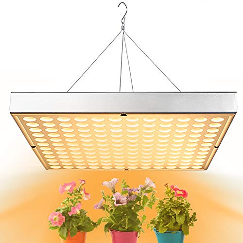 Shengsite LED Grow Light for Indoor Plants, Upgrade 75W Sunlike Full Spectrum Grow Lamp Plant Light for Succulent, Bonsai, Hydroponics Flower, Vegetable Growing, Grow Tent, Indoor Greenhouses