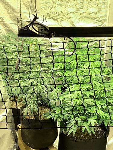 Trellis Net for Grow Tent - 4x4ft Scrog Net with 6 Hooks, 4in Mesh Elastic Flexible Trellises Netting for Indoor Plant Growing