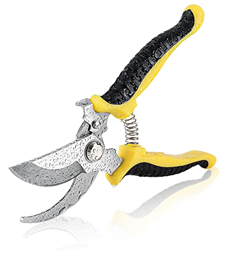 Cafurty Pruning Shears for Gardening,Handheld Pruner,Plant Scissors,Bypass Ratchet Pruners,1.2" Cutting Diameter, Trimming for Roses,Indoor Bonsai