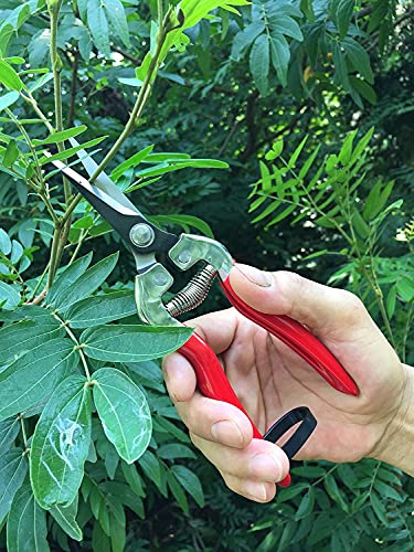 gonicc Professional Micro-Tip Pruning Snip (GPPS-1008), Small Garden Hand Pruner & shears For Arranging Flowers, Trimming Plants & Hydroponic Herbs, And Harvesting Fruits & Vegetables.