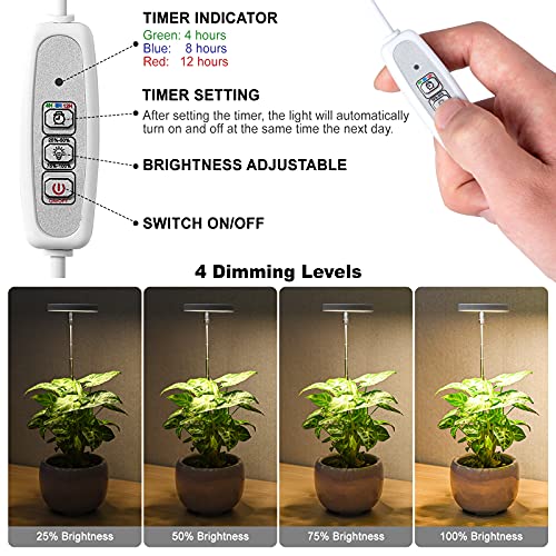 LORDEM Grow Light, Full Spectrum LED Plant Light for Indoor Plants, Height Adjustable Growing Lamp with Auto On/Off Timer 4/8/12H, 4 Dimmable Brightness, Ideal for Small Plants