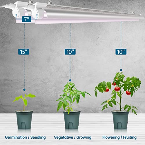Barrina 2FT T8 Grow Light, 144W(6 x 24W, 800W Equivalent), Full Spectrum Sunlight Plant Light, LED Grow Light Bulbs for Indoor Plant Growing,with V-Shaped Reflector, Pinkish White, 6-Pack