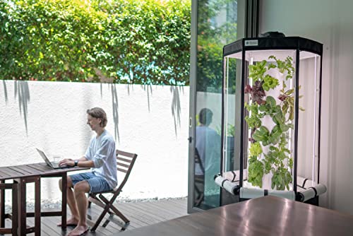 Aerospring 27-Plant Vertical Hydroponics Indoor Growing System - Patented Vertical Hydroponic Kit for Indoor Gardening - Grow Tent, LED Grow Lights & Fan - Grow Lettuce, Herbs, Veggies & Fruits